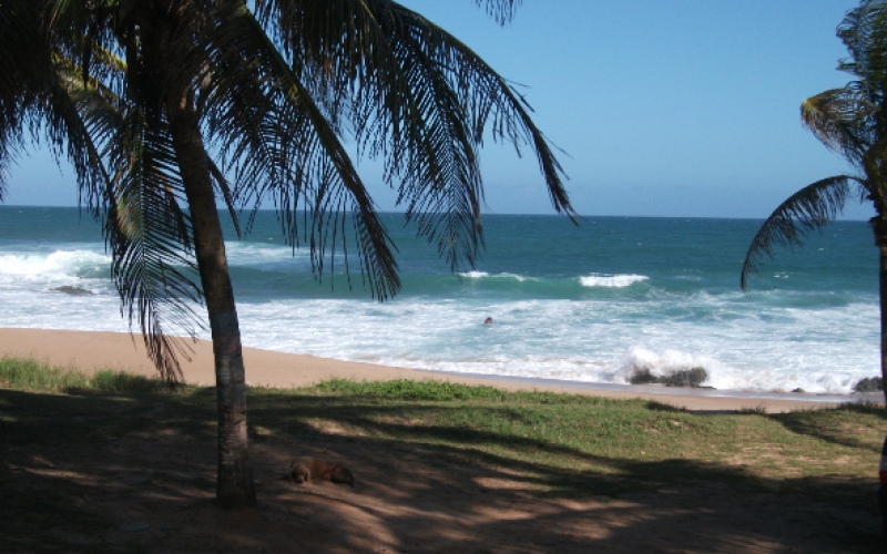 Generic placeholder image